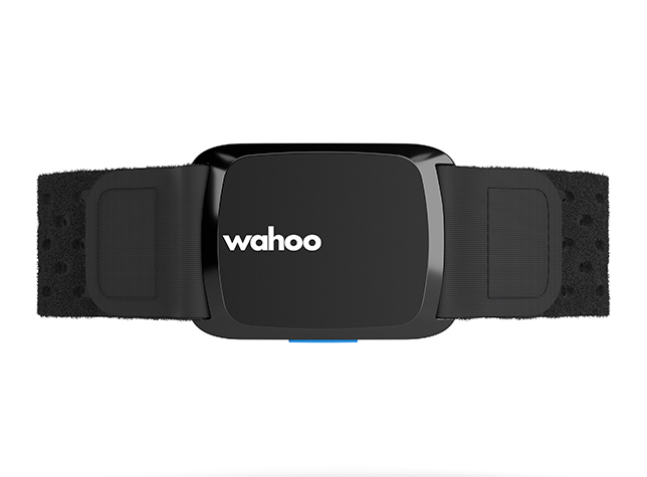 Wahoo TICKR FIT Heart Rate Monitor Armband – Hunter Valley Bicycle